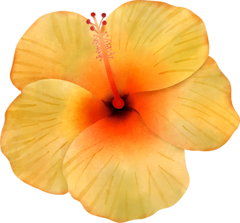 Yellow Hibiscus Flower Cut-out 